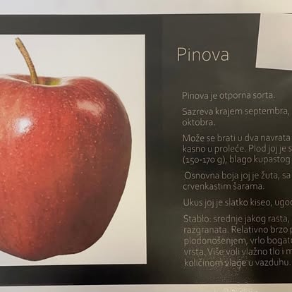 Pinova