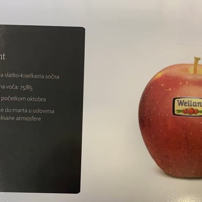 Wellant